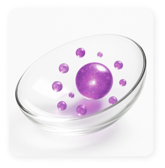 Innovation and comfort